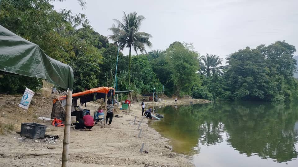 LOMBONG PANCING BELAUK, fishing pond in Malim Nawar, Perak (photo 2)
