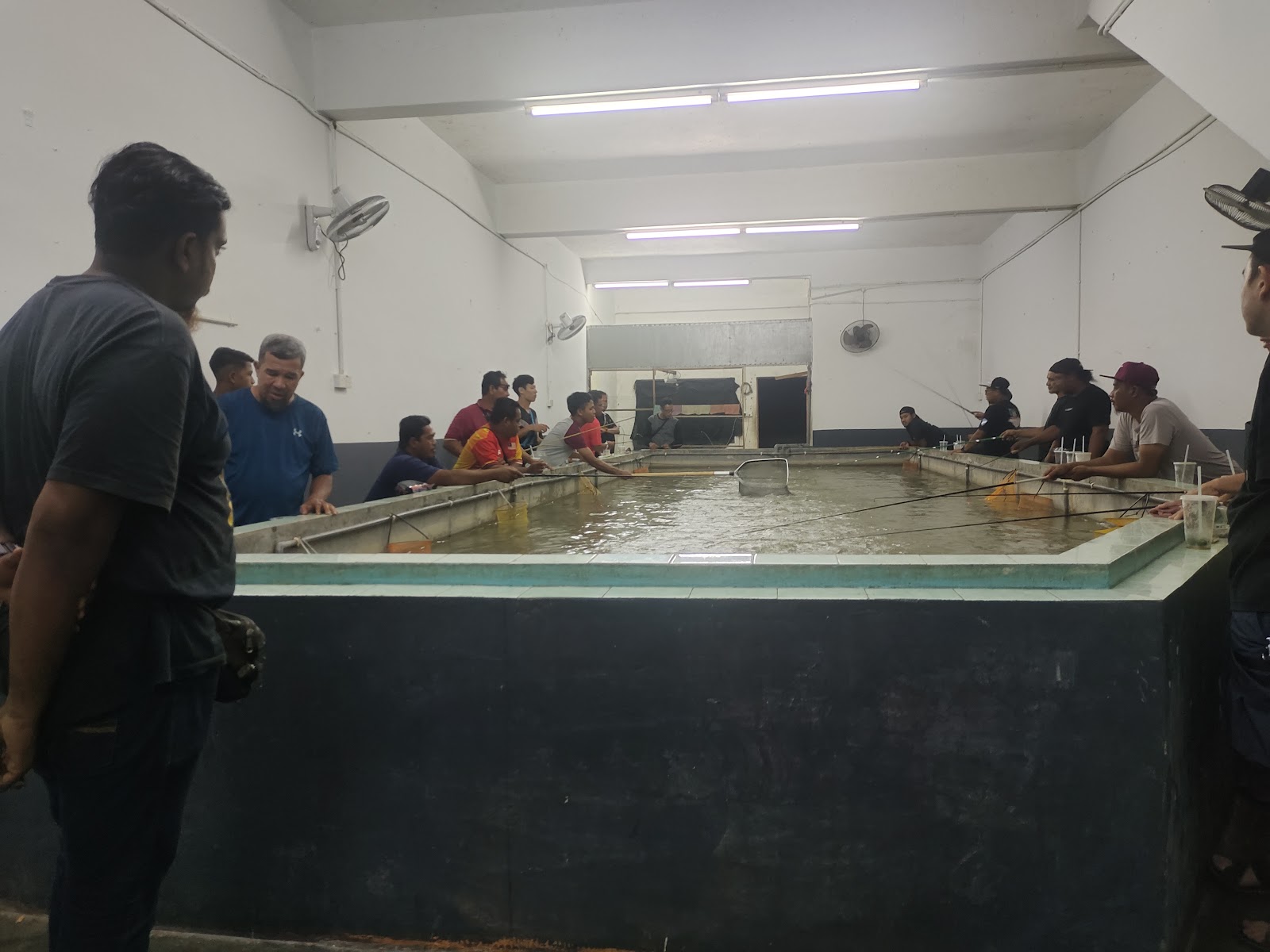 Kolam Pancing Udang Galah | Taman Bersatu 2, kolam pancing di Teluk Intan, Perak (gambar 2)