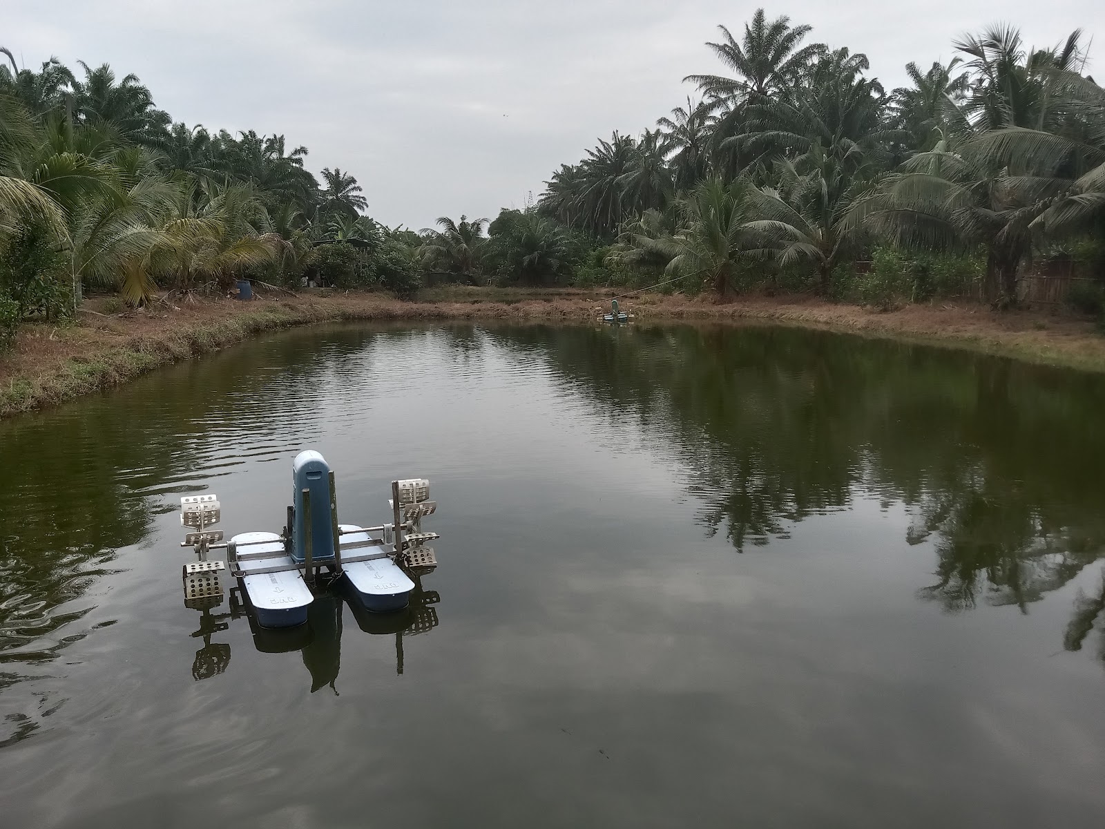 Kolam pancing sungai ramai enterprise fishing pond