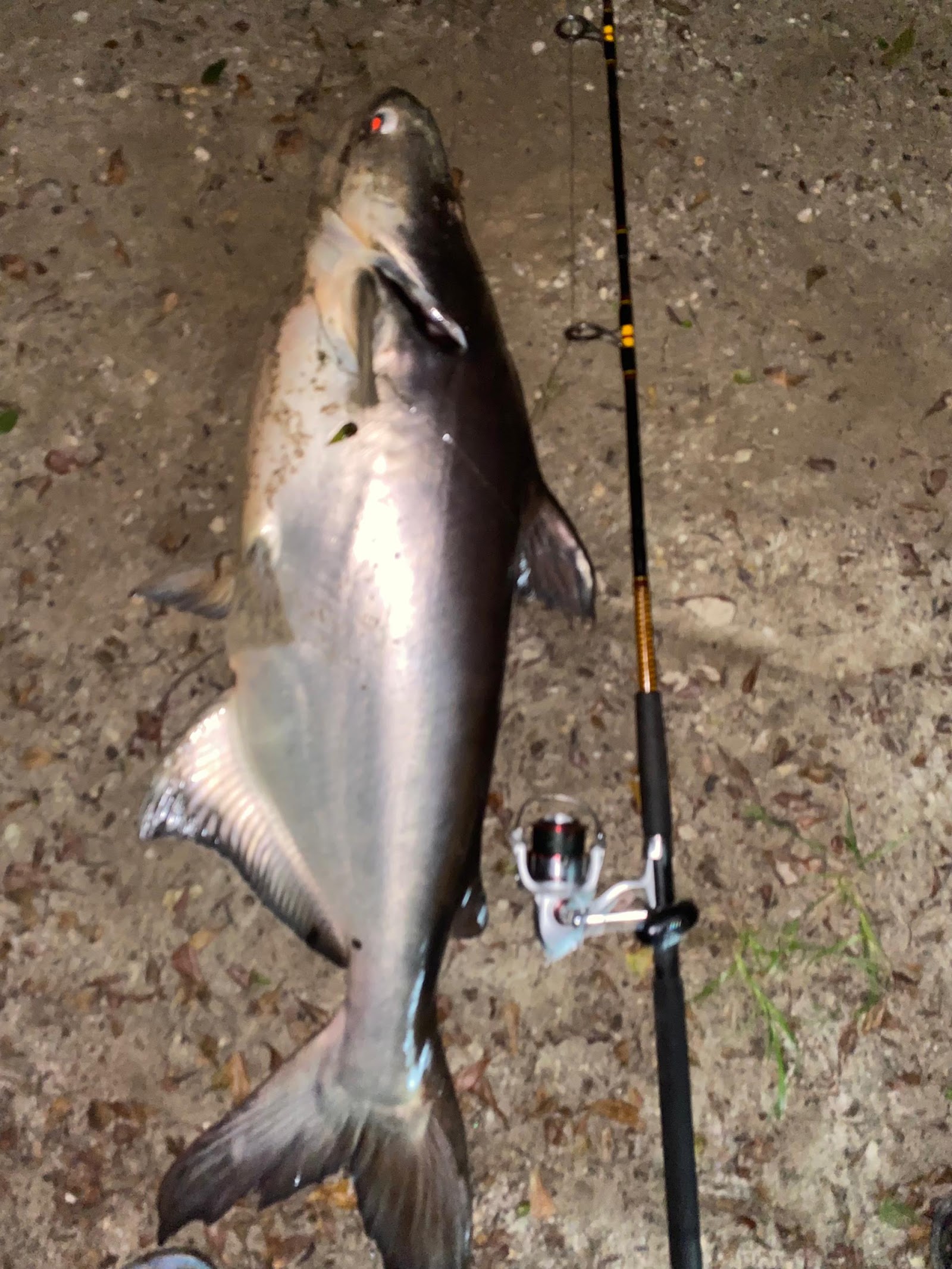 lombong agak kumpau sedikit fishing pond