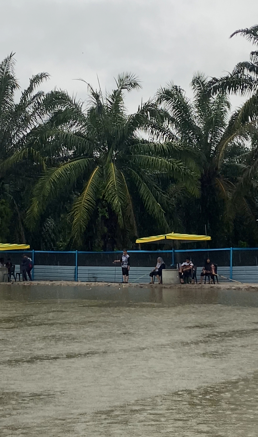 Kolam pancing OBJ, fishing pond in Bandar Baharu, Kedah (photo 2)