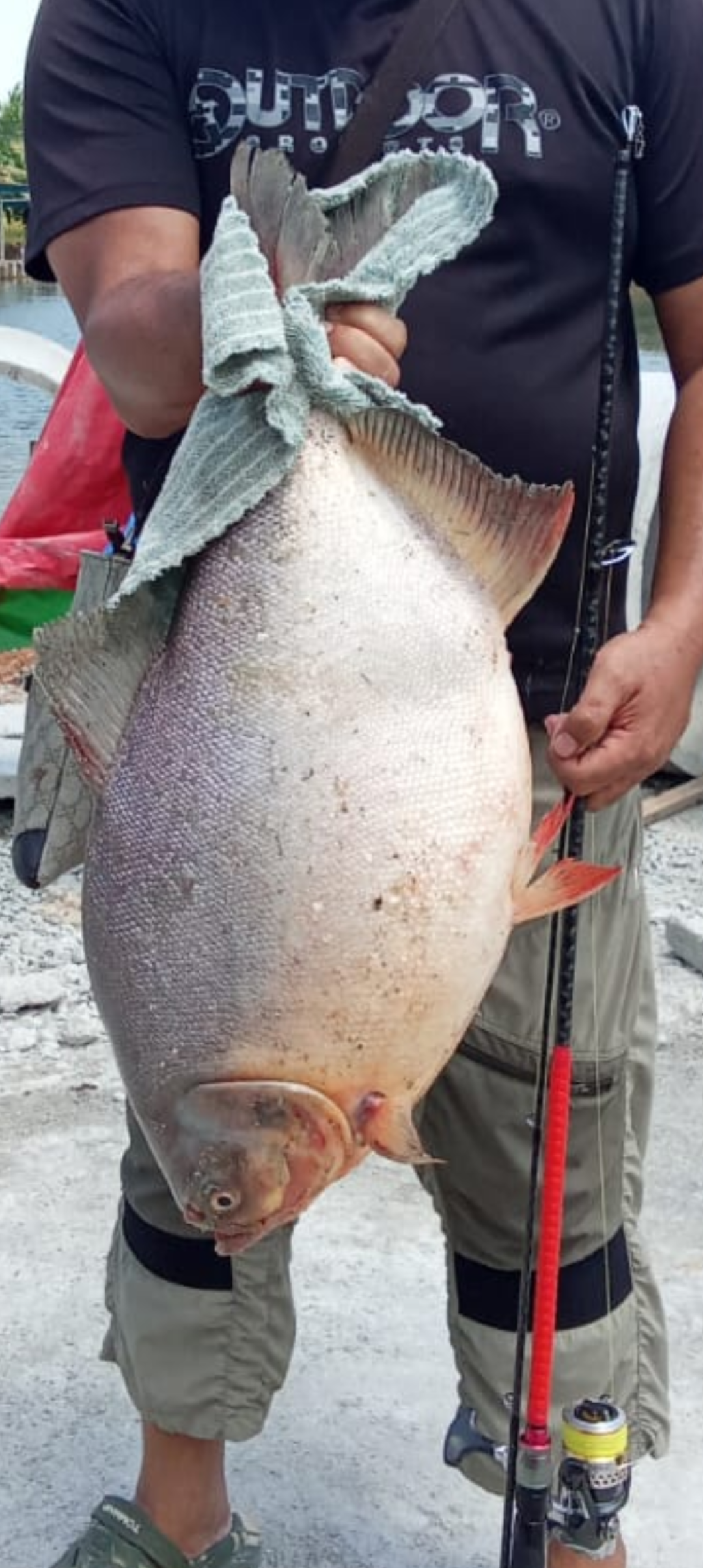 kolam pancing Taufek fishing pond