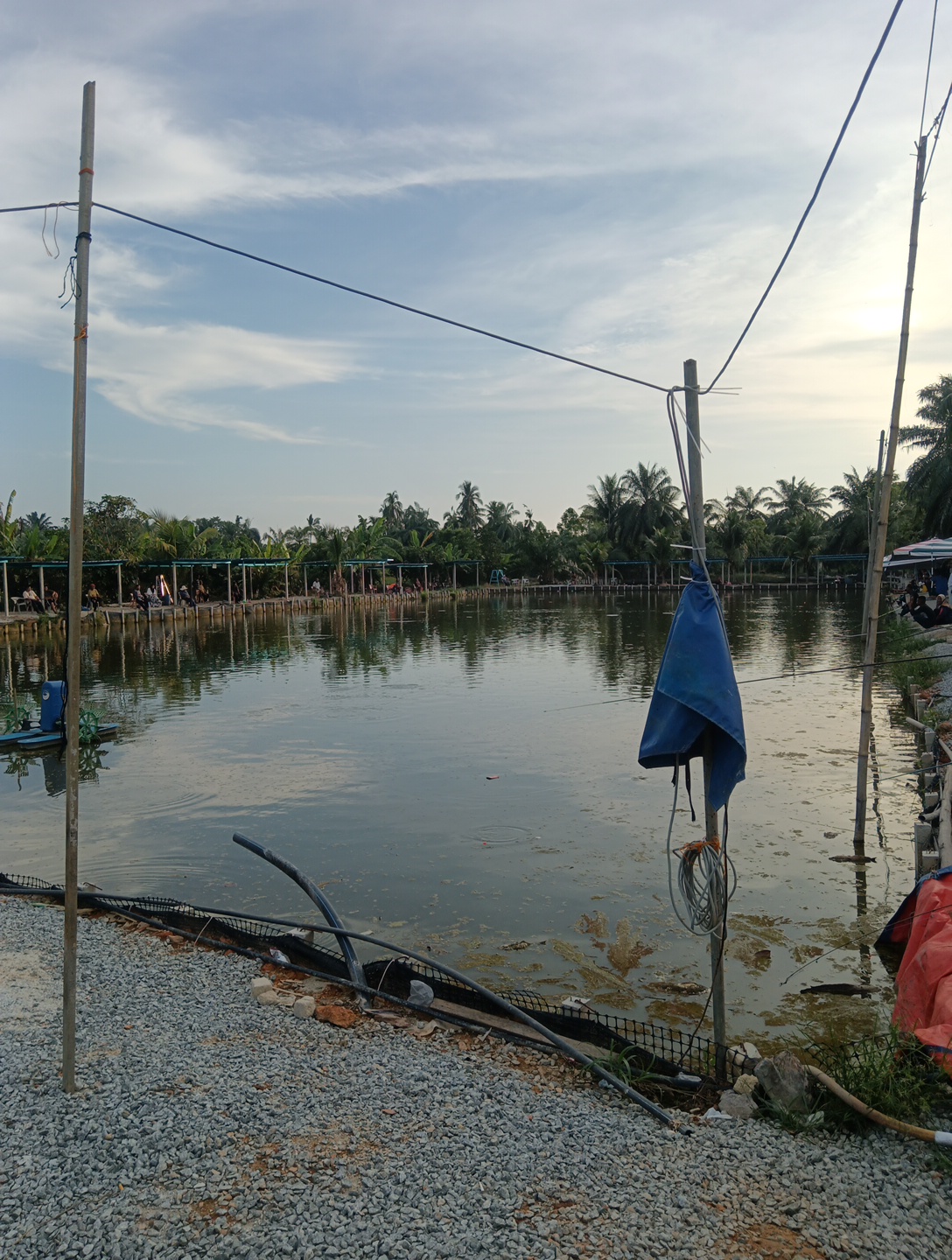 kolam pancing Taufek, fishing pond in Bagan Serai, Perak (photo 3)