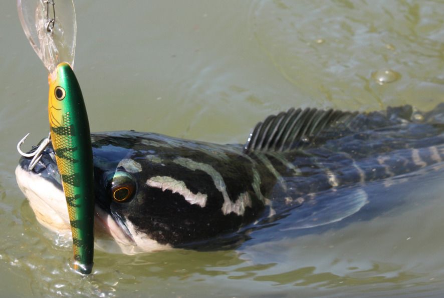 Kolam pancing Taman Rekreasi Memancing Kpg.Sg Terap