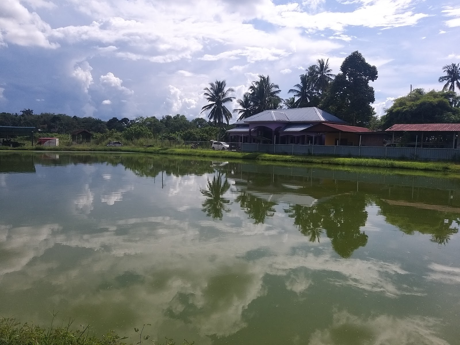 Kolam pancing KK Fishing