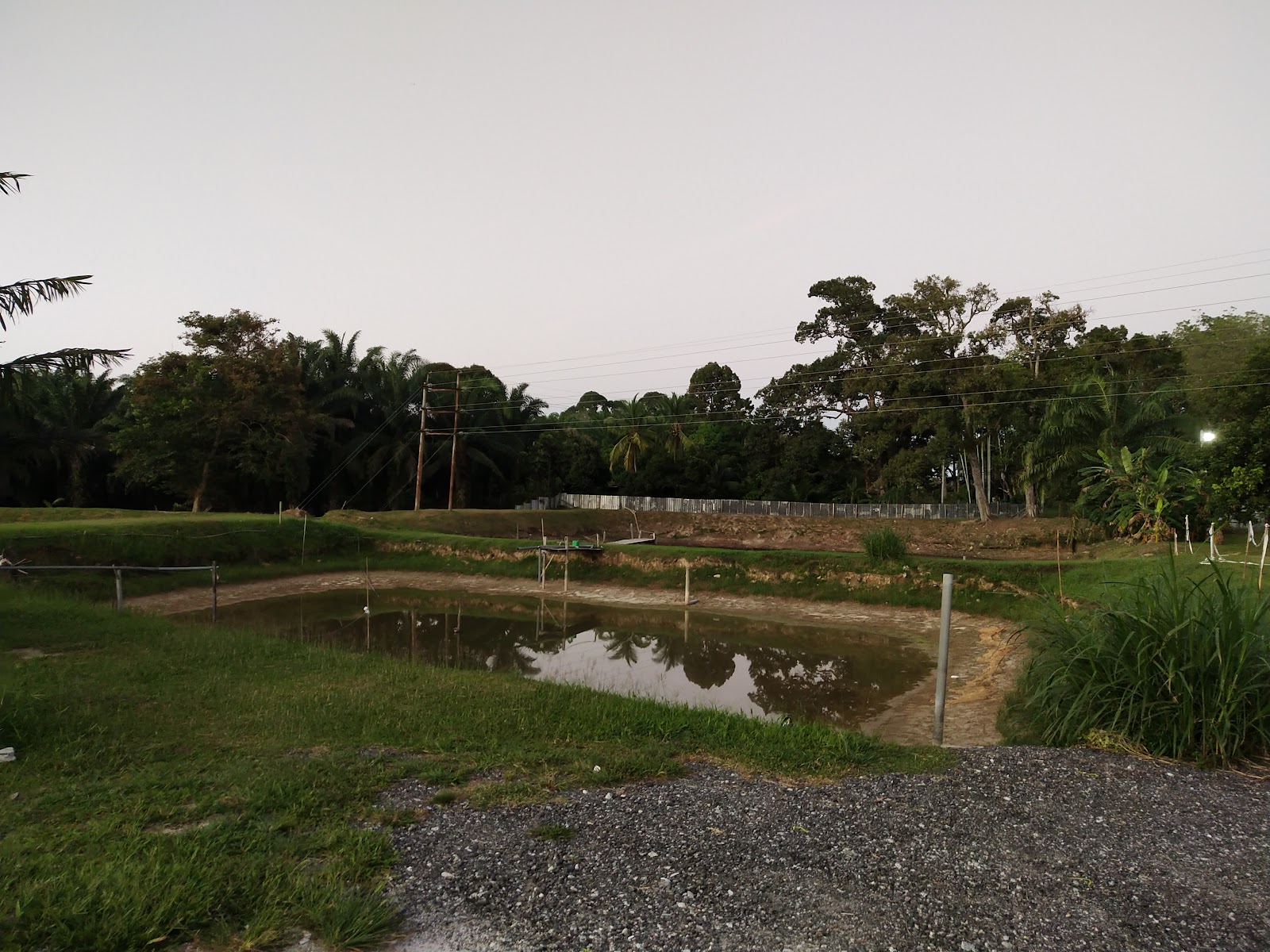 Kolam pancing Kolam pancing udang galah al rashid
