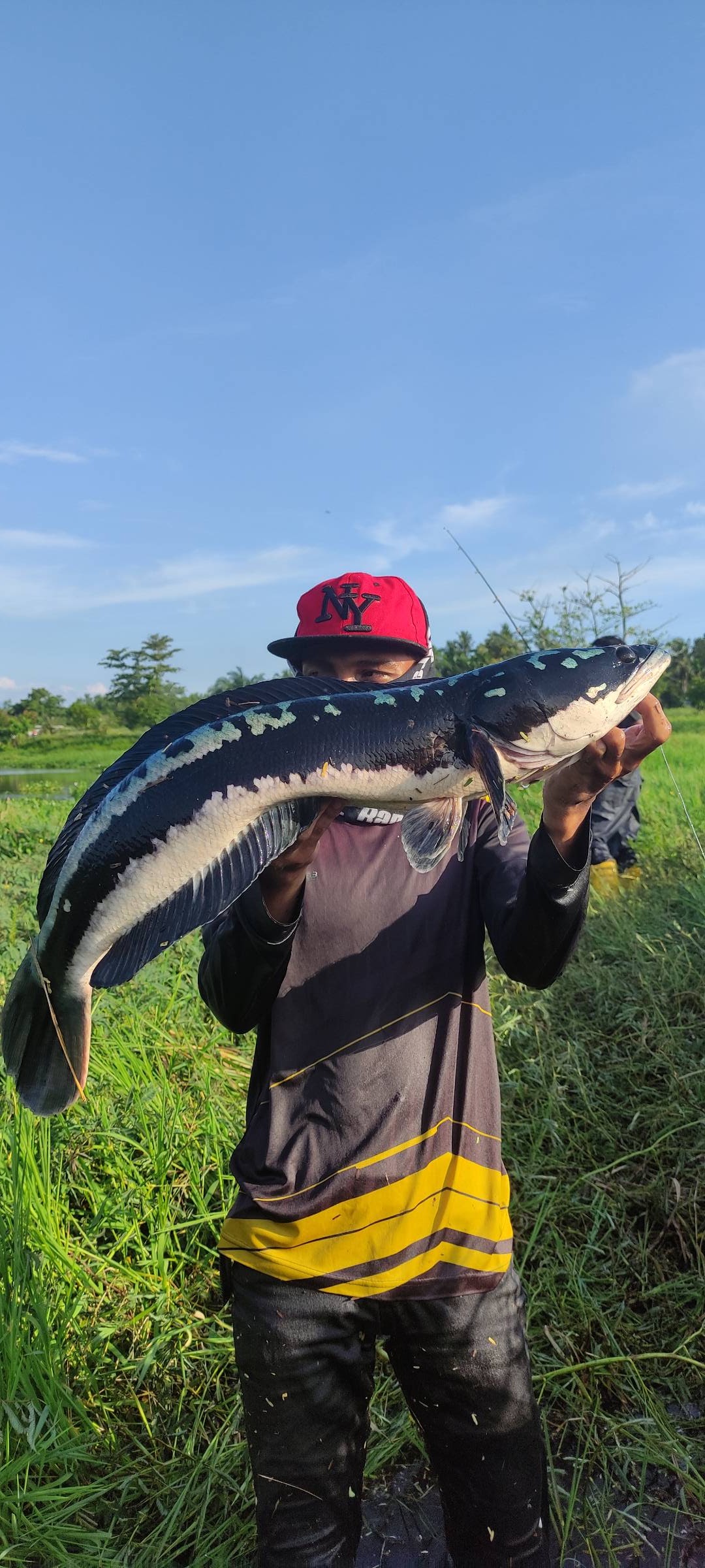 Kolam pancing Toman lombong Taifab